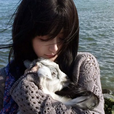 恶夜活死鸡
